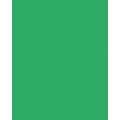 Papier de couleur Folia, 50 x 70 cm - 300 g/m², Vert émeraude