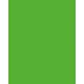 Papier de couleur Folia, 50 x 70 cm - 300 g/m², Vert herbe