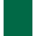 Papier de couleur Folia, 50 x 70 cm - 300 g/m², Vert sapin