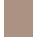 Papier de couleur Folia, 50 x 70 cm - 300 g/m², Cappucino