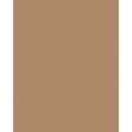 Papier de couleur Folia, 50 x 70 cm - 300 g/m², Fauve