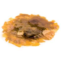 Gomme laque Lemon en feuilles