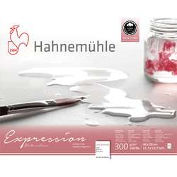Hahnemühle | Expression aquarelpapier