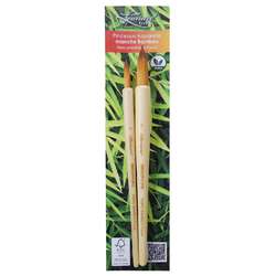 Léonard | BAMBOU Fauve 700RO aquarelpenseel ○ synthetisch haar — 2-set