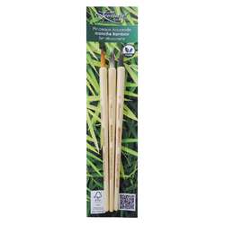 Lot de 3 pinceaux aquarelle bambou Léonard