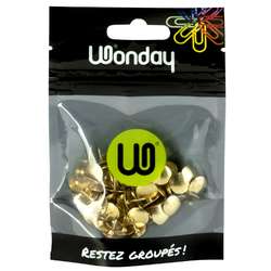 Lots de punaises Wonday