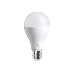 DAYLIGHT® spaarlamp
