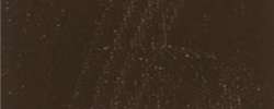 Brun Van Dyck - PR101 PBk9