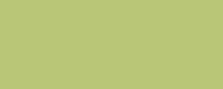Thé vert 169