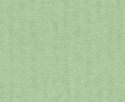 Hahnemühle Bugra pastelpapier, 130g, losse vellen, 43 x 53,5cm (min.10 vel), Lichtgroen 952