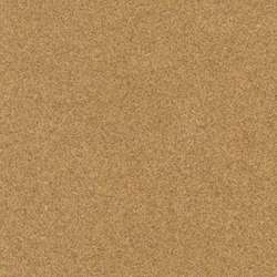 Raw Sienna