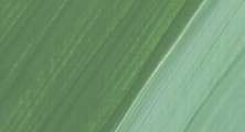 Vert oxyde de chrome pâle - PG17