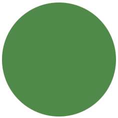 Permanent green olive