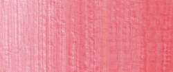 Potter's pink