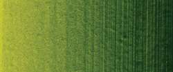 Vert de vessie permanent - PB15:3,PBk9,PY83