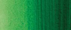 Vert de Hooker - PG36,PY110