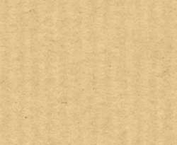 Hahnemühle Bugra pastelpapier, 130g, losse vellen, 43 x 53,5cm (min.10 vel), Lichtbruin 982