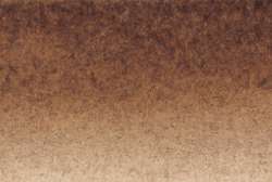Walnut stain