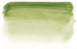 Terre verte naturelle - PBr7