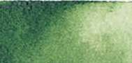 Sticks d'aquarelle extra-fine Daniel Smith, Stick, Vert de vessie - PO 48, PY 150, PG 7