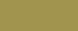 Aquarelle Gansai Kuretake, Grand godet, Or
