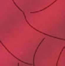PIgment rood