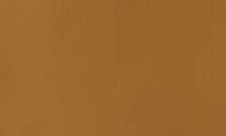 Terre d'Ombre naturelle - PBr7,PY42