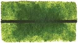 Hooker's green