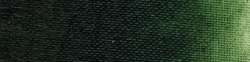 Laque vert de Hooker's clair extra - PR101-PY42-PG7