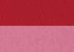 Cadmium red deep hue