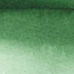 WINSOR & NEWTON™ | Promarker Watercolour™ — los, Hooker's green dark