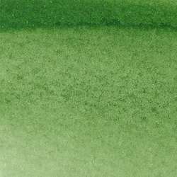 WINSOR & NEWTON™ | Promarker Watercolour™ — los, Hooker's green