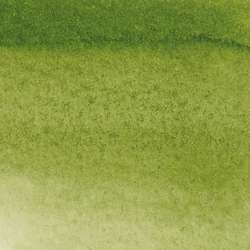 WINSOR & NEWTON™ | Promarker Watercolour™ — los, Sap green