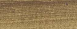 Terre d'ombre naturelle - PBr7