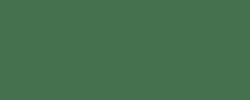 Vert oxyde de chrome