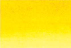 Senegal yellow