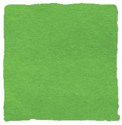 Vert printemps
