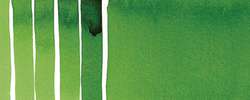 Hooker's green
