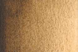 Terre d'ombre brûlée