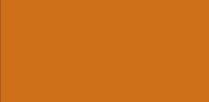 Terre de Sienne brûlée - PBk11,PR101,PY42