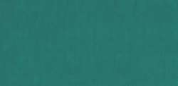 Vert foncé permanent - PY3, PG7, PW6