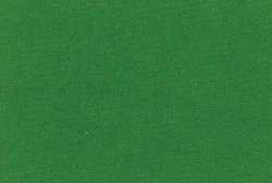 Vert permanent clair - PG7/PY74