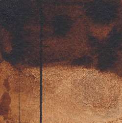 Brun Van Dyck - PR101