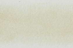Wheat