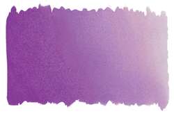Violet - PV55