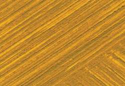 Ocre jaune