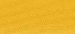 Cadmium yellow hue