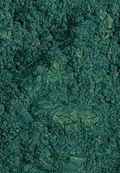 Vert cobalt foncé - 120g