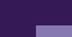 Violet de dioxazine - PV23