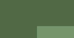 Vert oxyde de chrome - PG17